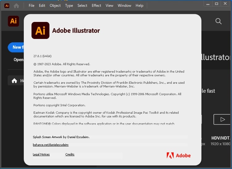 Adobe Illustrator 2022